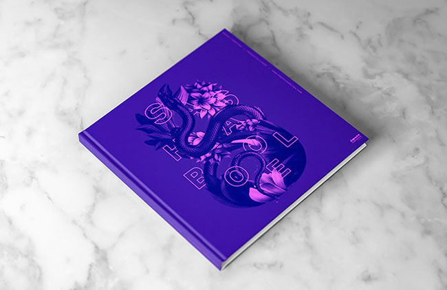 濟南莫都分享國外優(yōu)秀畫冊設(shè)計分享