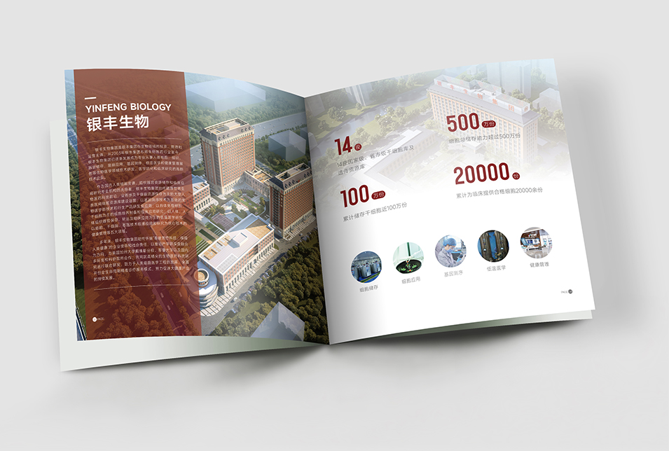 銀豐生物集團企業(yè)畫冊設計