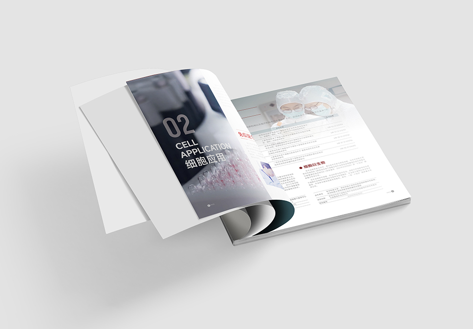 銀豐生物集團企業(yè)畫冊設計