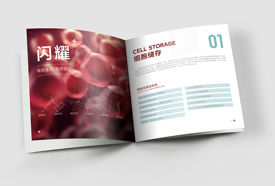 銀豐生物集團企業(yè)畫冊設計