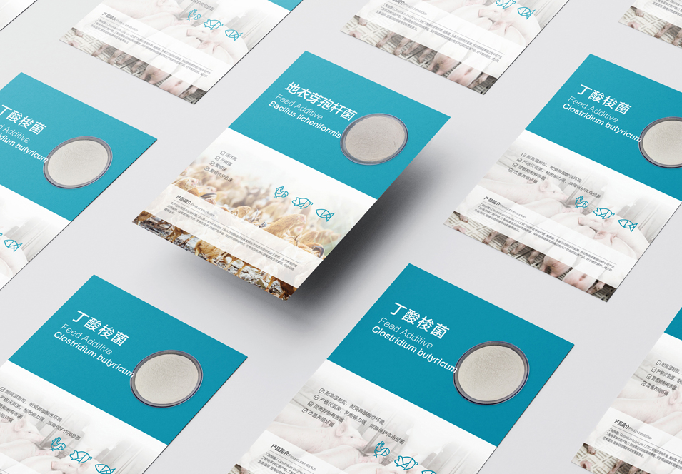 農(nóng)業(yè)畜牧業(yè)畫冊(cè)設(shè)計(jì)、封套單頁設(shè)計(jì)