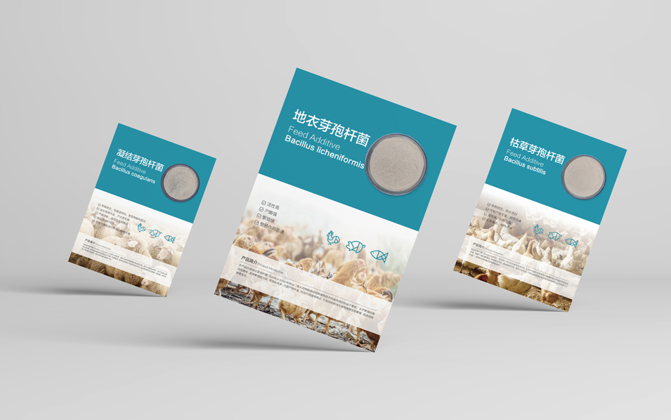 農(nóng)業(yè)畜牧業(yè)畫冊(cè)設(shè)計(jì)、封套單頁設(shè)計(jì)